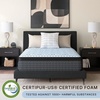 image:imageSignature Design by Ashley Destin Cove Queen Mattress 16 Inch Plush HybridTwin