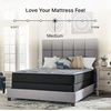 image:imageSignature Design by Ashley Hybrid 1300 13 Inch Plush Gel Memory Foam Mattress with Edge Support for Pressure Relief Queen FiberglassFree Mattress in A BoxFull