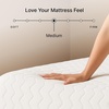 image:imageSignature Design by Ashley Memory Foam Mattress in a Box California KingCalifornia King