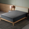 image:imageSignature Design by Ashley Queen Mattress 12Inch Medium Firm HybridKing