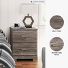 image:imageSignature Design by Ashley Belachime 2 Drawer Black Nightstand CharcoalGrayish Brown