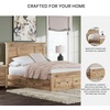 image:imageSignature Design by Ashley Allihauser Queen Platform Storage Bed Tan