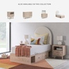 image:imageSignature Design by Ashley Birkmore 6 Drawer Dresser 10Minute Easy Assembly Engineered Wood Whimsical Botanical Accent Drawers for Bedroom Light Oak FinishTan