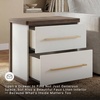 image:imageSignature Design by Ashley Mazilar Contemporary Nightstand with Two Drawers USB Charging Wood 2531 W x 1555 D x 2508 H Dark BrownMatte WhiteNightstand