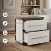 image:imageSignature Design by Ashley Mazilar Contemporary Nightstand with Two Drawers USB Charging Wood 2531 W x 1555 D x 2508 H Dark BrownMatte WhiteNightstand