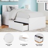image:imageSignature Design by Ashley Onita Minimalist Twin Platform Bed with Storage Foundation or Box Spring Not Needed White