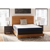 image:imageSignature Design by Ashley Queen Foundation 10 Inch Box Spring