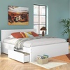 image:imageSignature Design by Ashley Twin Platform Bed Frame NaturalWhite
