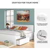 image:imageSignature Design by Ashley Twin Platform Bed Frame NaturalWhite