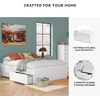 image:imageSignature Design by Ashley Twin Platform Bed Frame NaturalWhite