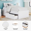 image:imageSignature Design by Ashley Twin Platform Bed Frame NaturalWhite