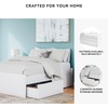 image:imageSignature Design by Ashley Twin Platform Bed Frame NaturalWhite