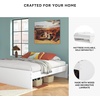 image:imageSignature Design by Ashley Twin Platform Bed Frame NaturalWhite