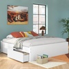 image:imageSignature Design by Ashley Twin Platform Bed Frame NaturalWhite
