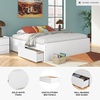 image:imageSignature Design by Ashley Twin Platform Bed Frame NaturalWhite