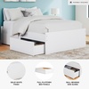 image:imageSignature Design by Ashley Twin Platform Bed Frame NaturalWhite