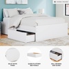 image:imageSignature Design by Ashley Twin Platform Bed Frame NaturalWhite