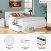 image:imageSignature Design by Ashley Twin Platform Bed Frame NaturalWhite