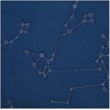 image:imageSignature Design by Ashley Ekin Contemporary Constellation Design Reversible Twin Comforter with One Sham Set Blue Gray