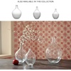 image:imageSignature Design by Ashley Kurthorne Casual IndoorOutdoor 15 Seeded Glass Tabletop Vase Glass588 W x 588 D x 9 H