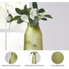 image:imageSignature Design by Ashley Scottyard Vase Olive Green Carved Glass Vase for IndoorOutdoor Styling Watertight Accent for Fresh Florals and Greenery 55 W x 55 D x 1725 HLight Green