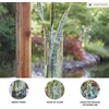 image:imageSignature Design by Ashley Taylow Casual IndoorOutdoor Watertight Glass Vase with Wide Mouth Set of 3 Light GreenLight Green