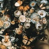 image:imageSignature Design by Ashley 1Piece Wall Art Floral Tempered Glass