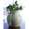 image:imageSignature Design by Ashley Baychester Terra Cotta Vase Antique GreenAntique Green