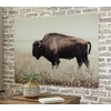 image:imageSignature Design by Ashley Brutus Large Bison Wall Art Sepia Glass