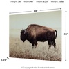 image:imageSignature Design by Ashley Brutus Large Bison Wall Art Sepia Glass