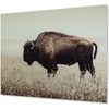 image:imageSignature Design by Ashley Brutus Large Bison Wall Art Sepia Glass