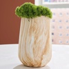 image:imageSignature Design by Ashley Cammen Contemporary Indoor 10 Abstract Ceramic Tabletop Vase with Wide Mouth Light Brown amp White788 W x 788 D x 10 H
