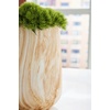 image:imageSignature Design by Ashley Cammen Contemporary Indoor 10 Abstract Ceramic Tabletop Vase with Wide Mouth Light Brown amp White788 W x 788 D x 10 H