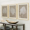 image:imageSignature Design by Ashley Framed Coral Wall Art Set of 3 Taupe