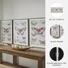 image:imageSignature Design by Ashley Jossletts Framed Wall Art Set of 3 Butterfly