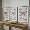 image:imageSignature Design by Ashley Jossletts Framed Wall Art Set of 3 Butterfly