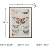 image:imageSignature Design by Ashley Jossletts Framed Wall Art Set of 3 Butterfly