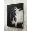 image:imageSignature Design by Ashley Large Framed Horse Canvas Wall Art 40x50