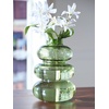 image:imageSignature Design by Ashley Renethorne Minimalist Watertight Glass 12 Vase Light GreenTransparent Green