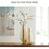 image:imageSignature Design by Ashley Rhettman 155 Contemporary Amber Glass Vase65 W x 65 D x 16 H
