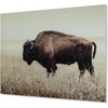 image:imageSignature Design by Ashley Brutus Large Bison Wall Art Sepia Glass