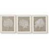 image:imageSignature Design by Ashley Framed Coral Wall Art Set of 3 Taupe