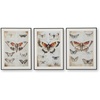 image:imageSignature Design by Ashley Jossletts Framed Wall Art Set of 3 Butterfly