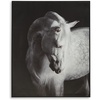 image:imageSignature Design by Ashley Large Framed Horse Canvas Wall Art 40x50