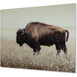 image:imageSignature Design by Ashley Brutus Large Bison Wall Art Sepia Glass