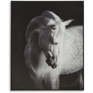 image:imageSignature Design by Ashley Large Framed Horse Canvas Wall Art 40x50