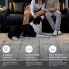 image:imageSignature Design by Ashley Power Reclining Loveseat with Console GrayBlack