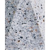 image:imageSignature Design by Ashley Maywick 713 Contemporary Concrete Table Lamp White amp GrayWhite