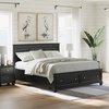image:imageSignature Design by Ashley Danabrin Wood Queen Panel Bed FrameBlack