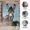 image:imageSignature Design by Ashley Animal Canvas Wall Art Framed Donkey